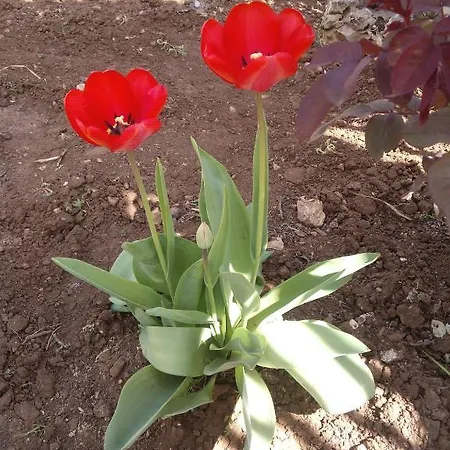 Отель типа 