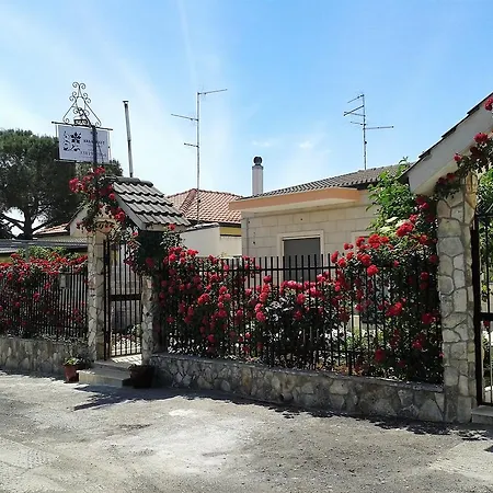 Paradiso